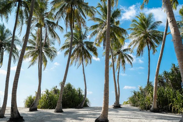 Camping à lacanau : votre évasion familiale au paradis naturel