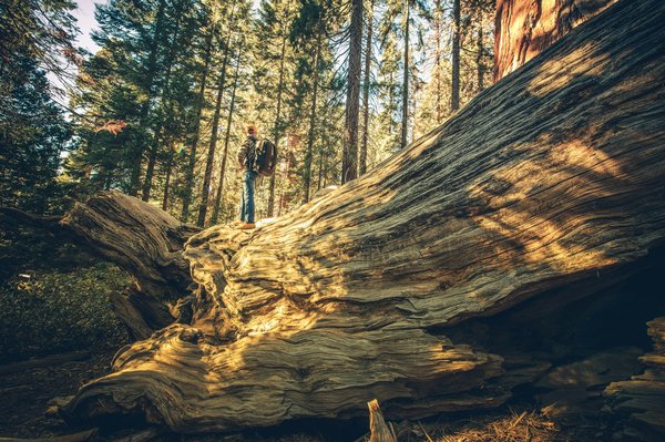 Comment organiser une visite des temples d'Angkor sans guide?
